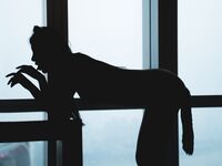 最新流出超人氣嫩模極品女神 ▌阿朱▌4K原版私拍 肛塞貓女郎 挺翹乳粒鮮嫩緊致白虎 無與倫比的氣質