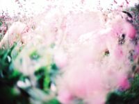 超人氣大神『王動』2022最新重磅私拍 全新嫩模 全裸出鏡 情色藝術完美結合 高清