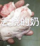 超人氣大神『王動』2022最新重磅私拍 全新嫩模 全裸出鏡 情色藝術完美結合 高清