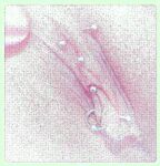 字母界女神『薈萃』帶壞淫戲調教母狗 露出訓犬捆綁 調教金屬光澤閃耀M奴之心 高清