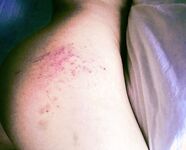 字母界女神『薈萃』帶壞淫戲調教母狗 露出訓犬捆綁 調教金屬光澤閃耀M奴之心 高清