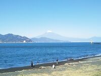 字母界女神『薈萃』帶壞淫戲調教母狗 露出訓犬捆綁 調教金屬光澤閃耀M奴之心 高清