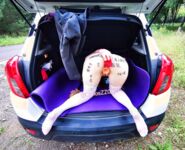 【网红摄影】重磅！整合28位超强摄影+极品网红 超给力，抖叔 希威社 戴菲妮 野叔 无尘 等各类