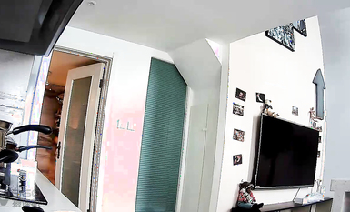 最新稀缺孕婦巨乳擠奶 重磅核彈 性孕之美 貴在真實 玩操孕婦  高清 (2)